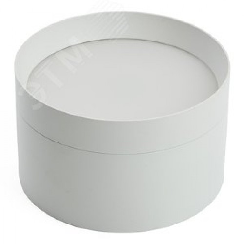 Светильник ДПО-25w GX70 без лампы белый