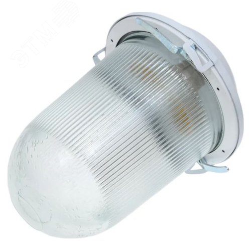 Светильник НСП-02-100-001 без решетки окрашенный IP52