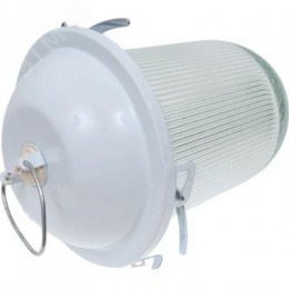 Светильник НСП-02-100-001 без решетки окрашенный IP52