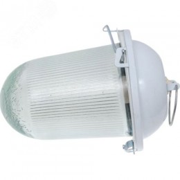 Светильник НСП-02-100-001 без решетки окрашенный IP52