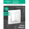 Выключатель 2-кл. СП Blanca 10А IP20 (сх. 5) 250В с подсветкой бел. SE BLNVS010511